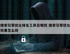 搜索引擎优化排名工具在哪找 搜索引擎优化效果怎么样