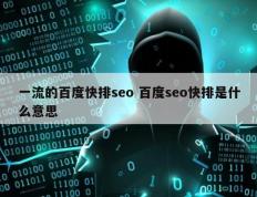 一流的百度快排seo 百度seo快排是什么意思