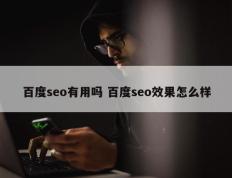 百度seo有用吗 百度seo效果怎么样