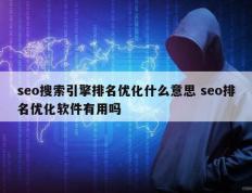 seo搜索引擎排名优化什么意思 seo排名优化软件有用吗