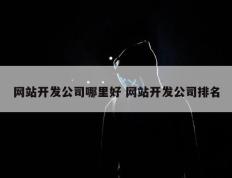 网站开发公司哪里好 网站开发公司排名