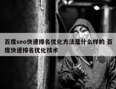 百度seo快速排名优化方法是什么样的 百度快速排名优化技术