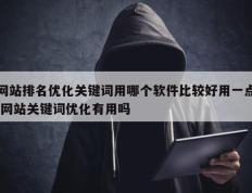 网站排名优化关键词用哪个软件比较好用一点 网站关键词优化有用吗