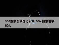 seo搜索引擎优化公司 seo 搜索引擎优化