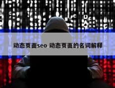 动态页面seo 动态页面的名词解释