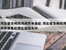 河北省沧州市河间市米各庄 河北省沧州市河间市米各庄镇北留路东村