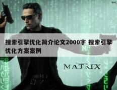 搜索引擎优化简介论文2000字 搜索引擎优化方案案例