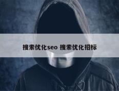 搜索优化seo 搜索优化招标