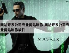 网站开发公司专业网站制作 网站开发公司专业网站制作软件