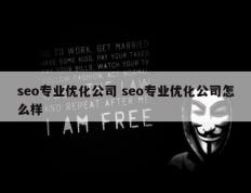 seo专业优化公司 seo专业优化公司怎么样