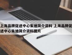 上海品牌促进中心朱迪简介资料 上海品牌促进中心朱迪简介资料图片