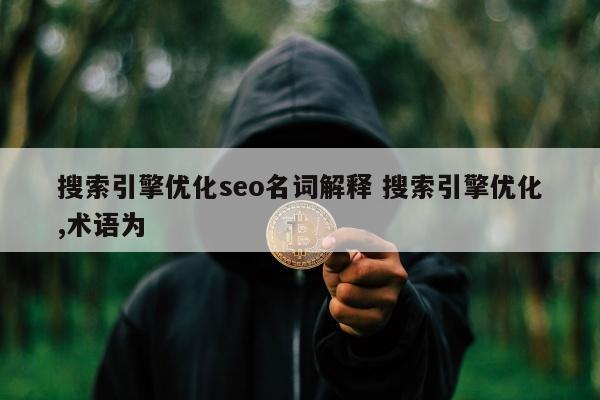 搜索引擎优化seo名词解释 搜索引擎优化,术语为