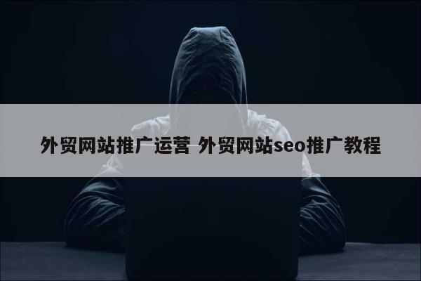 外贸网站推广运营 外贸网站seo推广教程