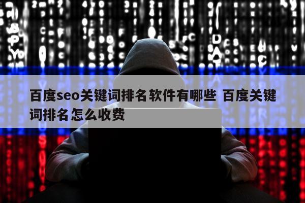 百度seo关键词排名软件有哪些 百度关键词排名怎么收费