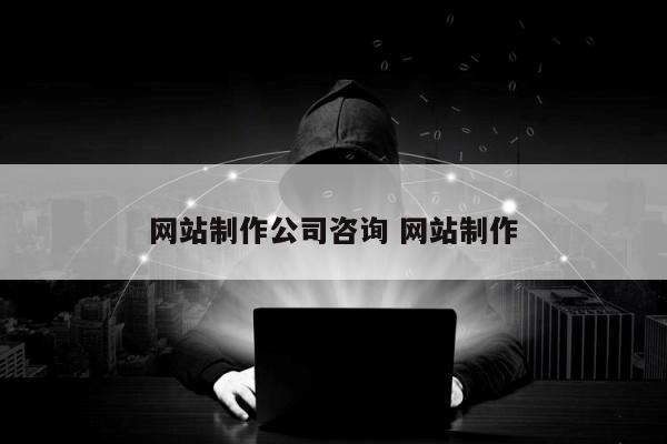 网站制作公司咨询 网站制作