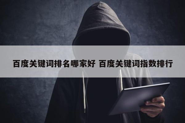 百度关键词排名哪家好 百度关键词指数排行