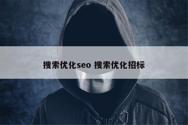 搜索优化seo 搜索优化招标