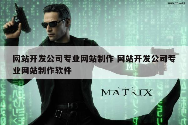 网站开发公司专业网站制作 网站开发公司专业网站制作软件