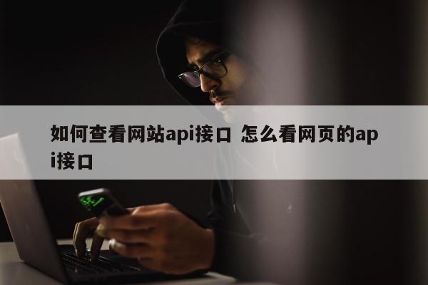 如何查看网站api接口 怎么看网页的api接口