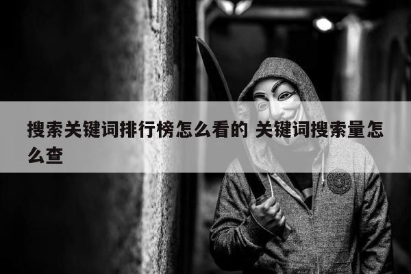 搜索关键词排行榜怎么看的 关键词搜索量怎么查