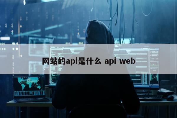 网站的api是什么 api web