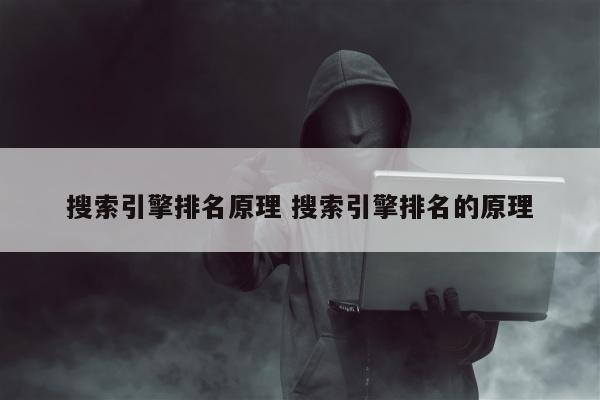 搜索引擎排名原理 搜索引擎排名的原理