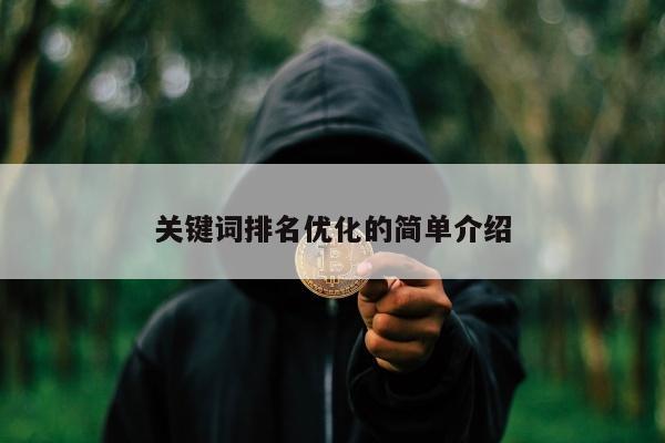 关键词排名优化的简单介绍