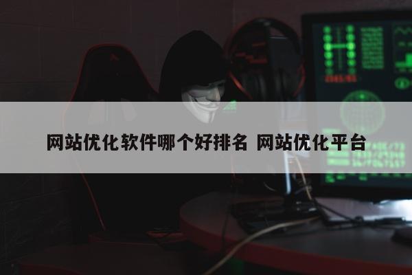 网站优化软件哪个好排名 网站优化平台