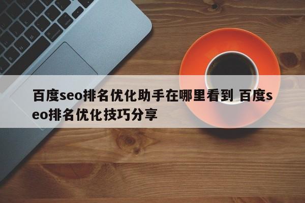 百度seo排名优化助手在哪里看到 百度seo排名优化技巧分享