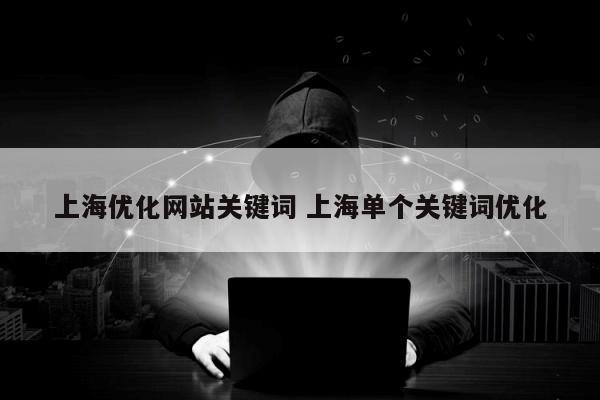 上海优化网站关键词 上海单个关键词优化