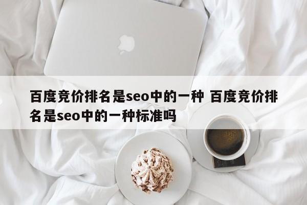 百度竞价排名是seo中的一种 百度竞价排名是seo中的一种标准吗