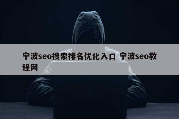 宁波seo搜索排名优化入口 宁波seo教程网