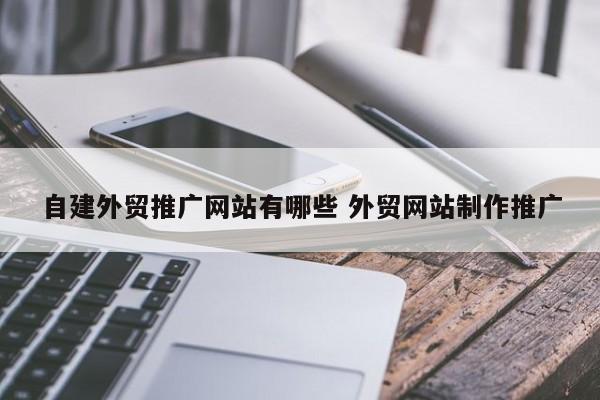 自建外贸推广网站有哪些 外贸网站制作推广