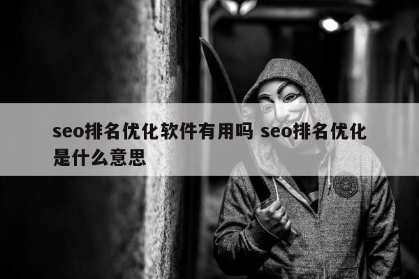 seo排名优化软件有用吗 seo排名优化是什么意思