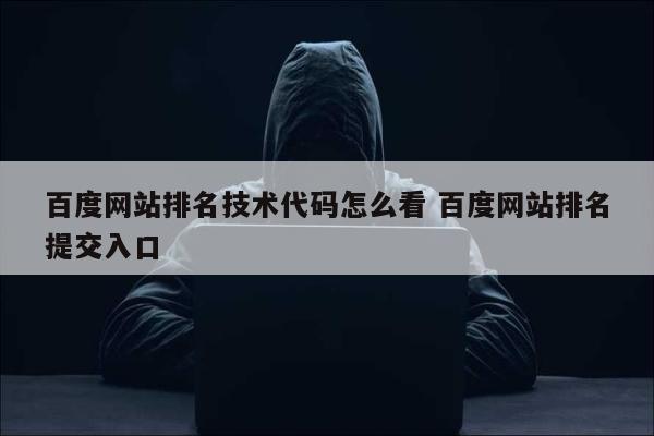 百度网站排名技术代码怎么看 百度网站排名提交入口