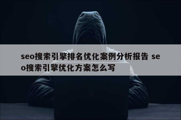 seo搜索引擎排名优化案例分析报告 seo搜索引擎优化方案怎么写