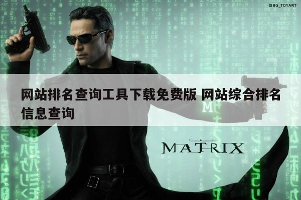 网站排名查询工具下载免费版 网站综合排名信息查询