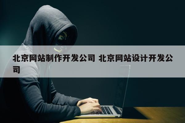 北京网站制作开发公司 北京网站设计开发公司