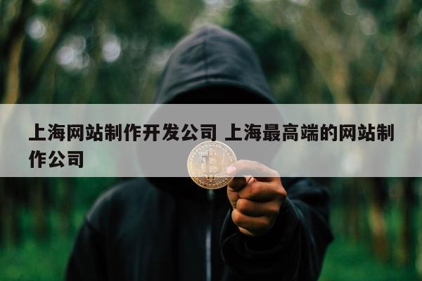 上海网站制作开发公司 上海最高端的网站制作公司