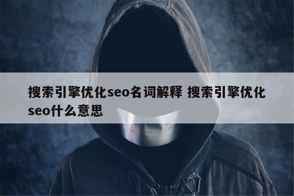 搜索引擎优化seo名词解释 搜索引擎优化seo什么意思