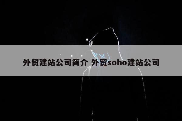 外贸建站公司简介 外贸soho建站公司