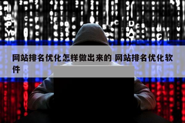 网站排名优化怎样做出来的 网站排名优化软件