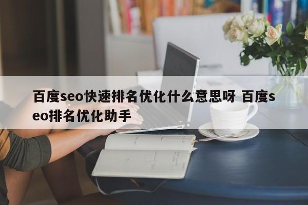 百度seo快速排名优化什么意思呀 百度seo排名优化助手