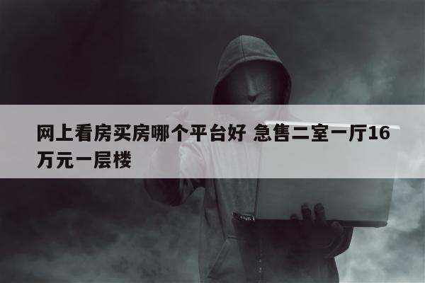 网上看房买房哪个平台好 急售二室一厅16万元一层楼