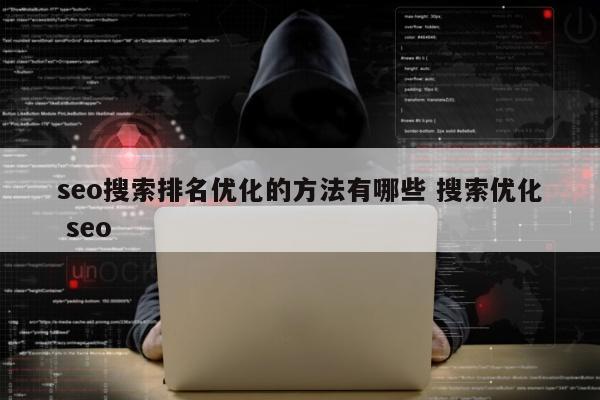 seo搜索排名优化的方法有哪些 搜索优化 seo