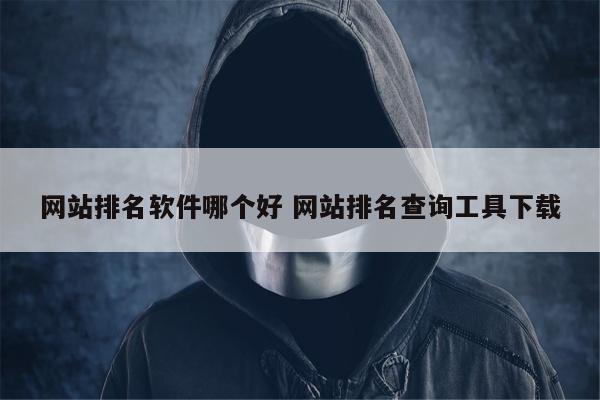 网站排名软件哪个好 网站排名查询工具下载