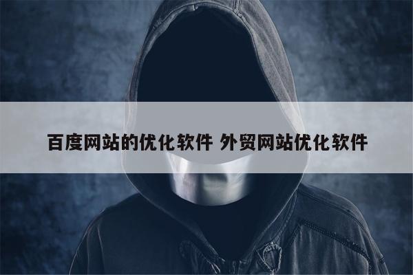 百度网站的优化软件 外贸网站优化软件