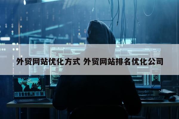 外贸网站优化方式 外贸网站排名优化公司