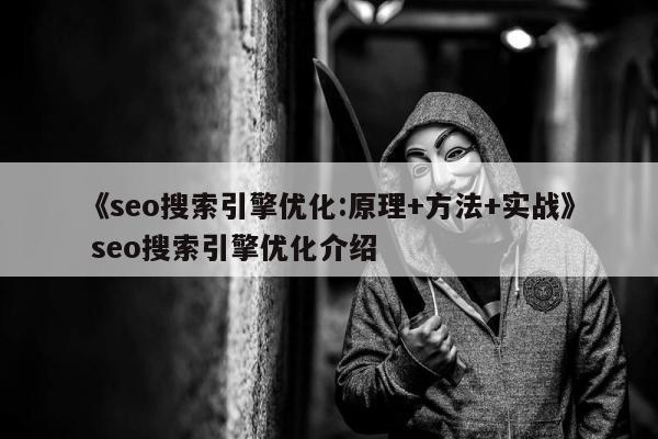 《seo搜索引擎优化:原理+方法+实战》 seo搜索引擎优化介绍