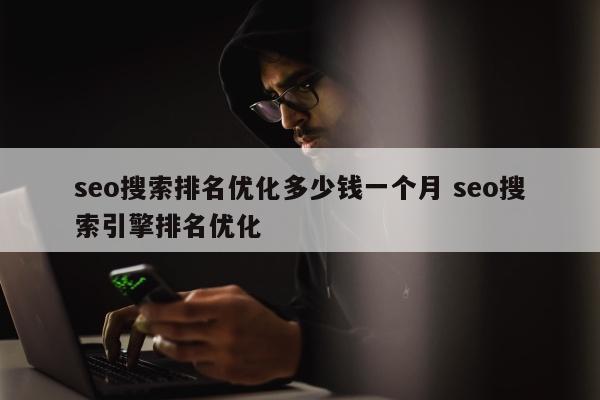 seo搜索排名优化多少钱一个月 seo搜索引擎排名优化